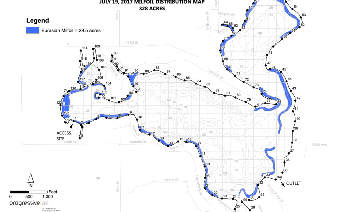 2017-07-19-Miner-Lake-Milfoil-Distribution-Map