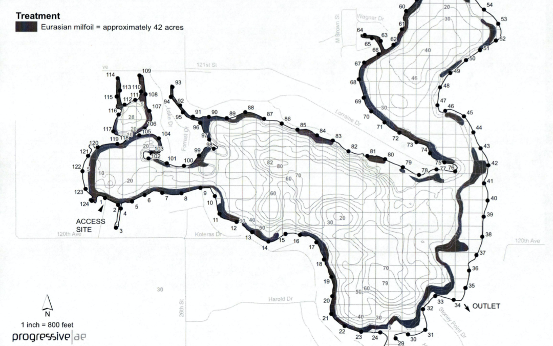 2020-06-23-Miner-Lake-Milfoil-Map-2020-06-23