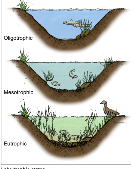 Lake Trophic States