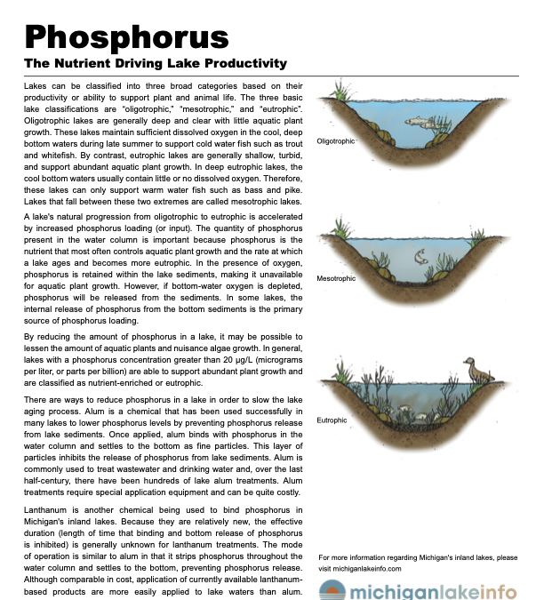 Phosphorus Fact Sheet