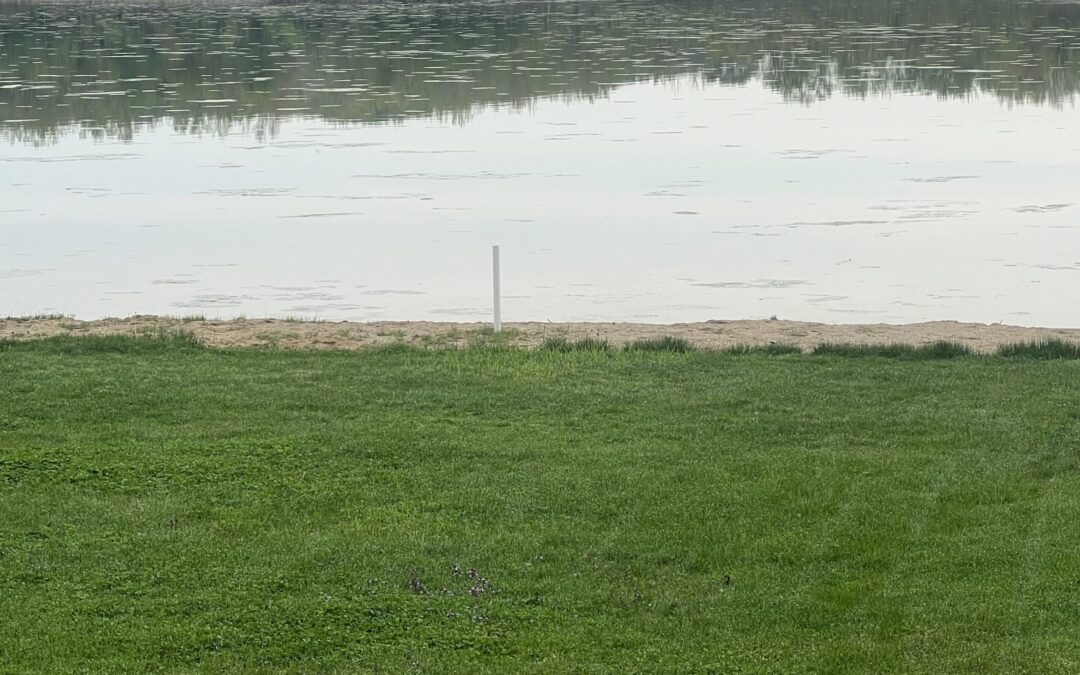 algae-spring-2023-2